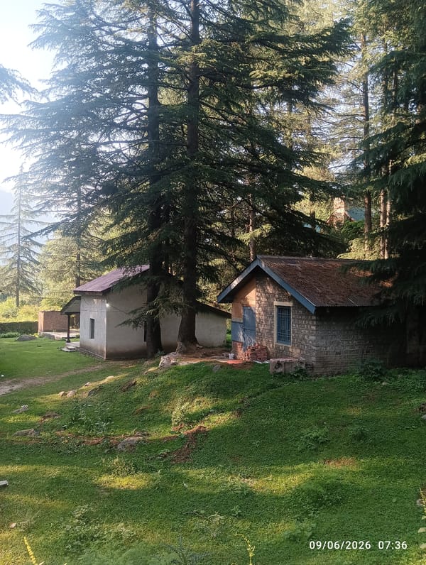 Morning nature scenes documented across Old Manali's rivers and forests
