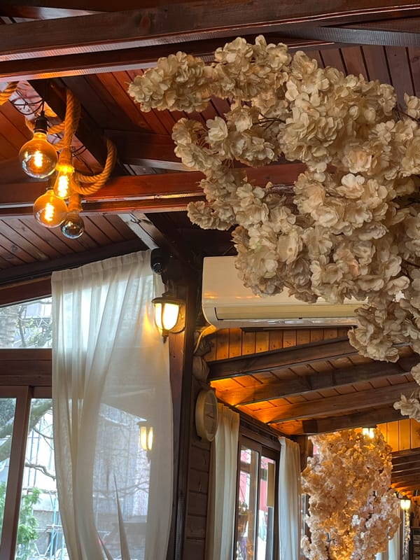 Dark wood interior architecture documented in Pazardzhik cafe