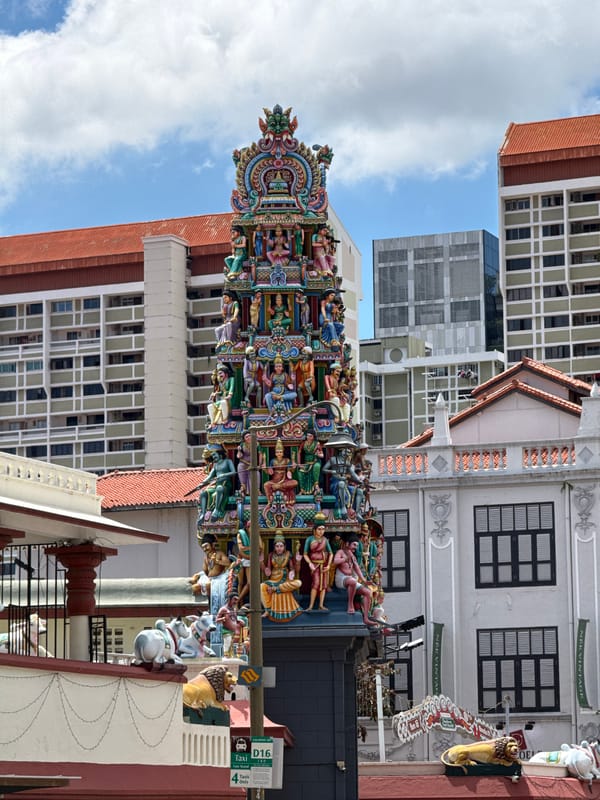 Early morning architectural tour documented across Singapore neighborhoods