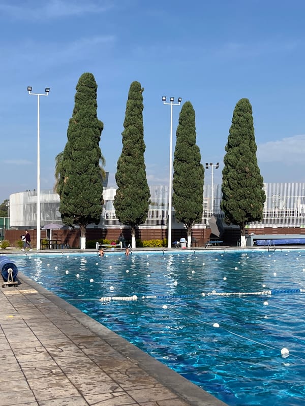 Sunny day recreational facilities documented: pool and soccer field