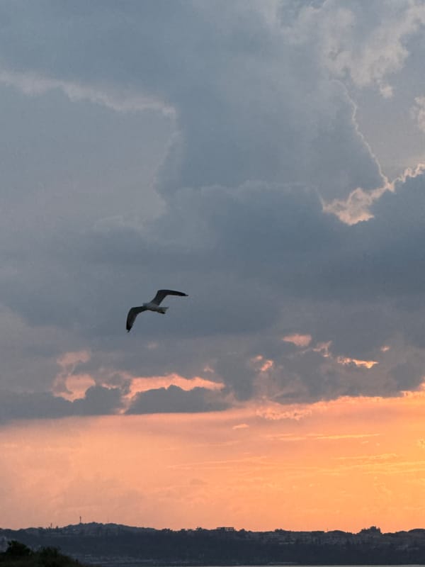 Dramatic sunset captured by witnesses over Sozopol, Bulgaria coast