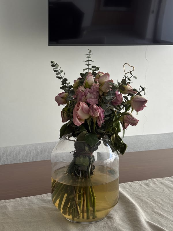 Dried pink roses displayed in glass vase in Puebla