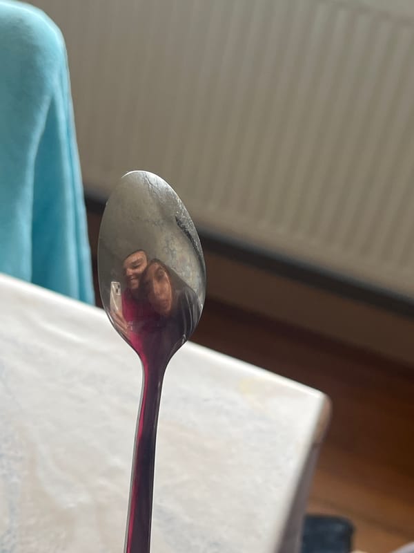 Everyday moments captured in Saarbrücken: reflections, pets, food