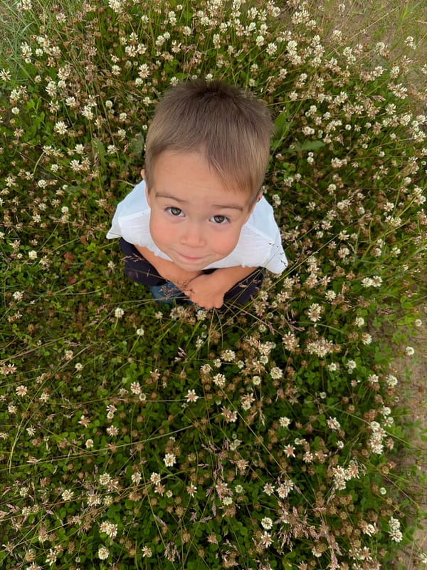 Looking up from a clover field in rural Russia