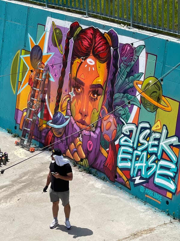 Street artists paint murals in Sofia's concrete canal