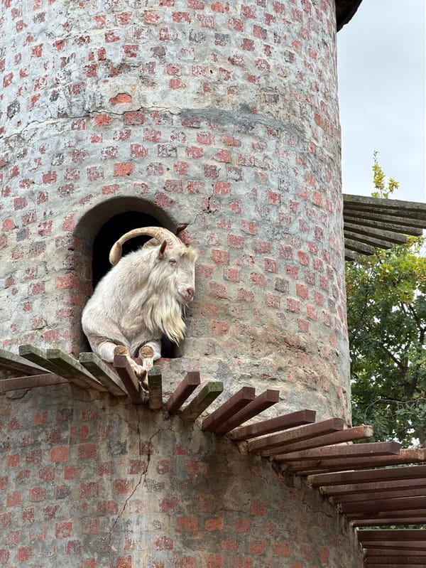 Wine estate tour captured in Drakenstein Nu, South Africa