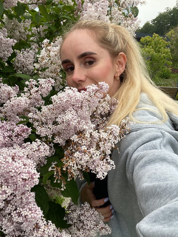Morning playground visit and lilac blooms in Vladivostok