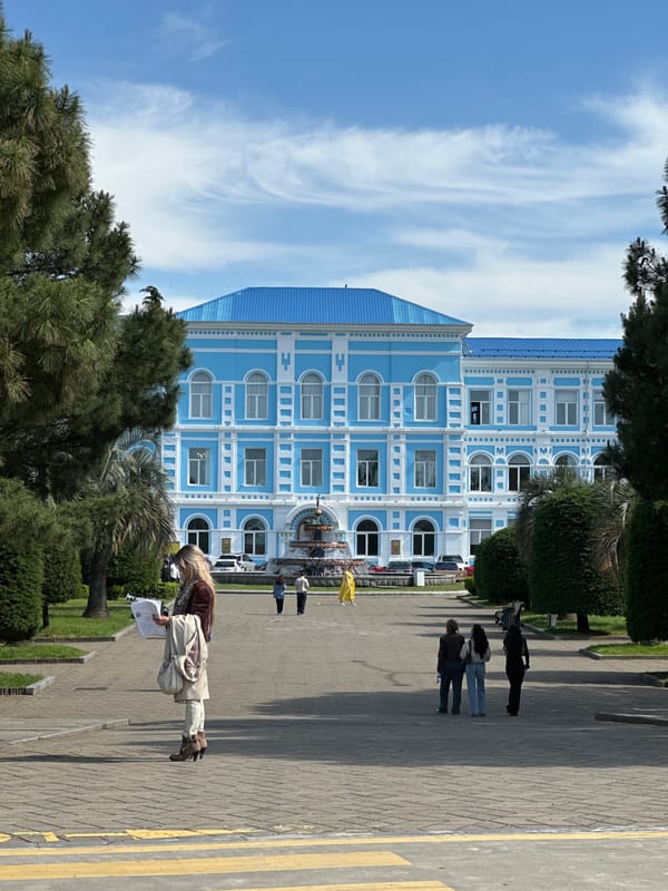 Person walks along Batumi shoreline and pedestrian areas