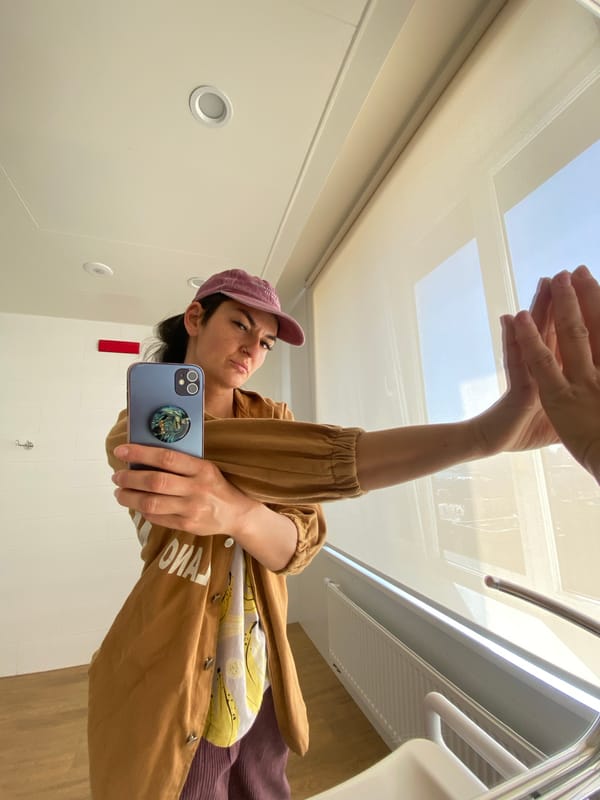 Mirror selfie captured in Moscow restroom