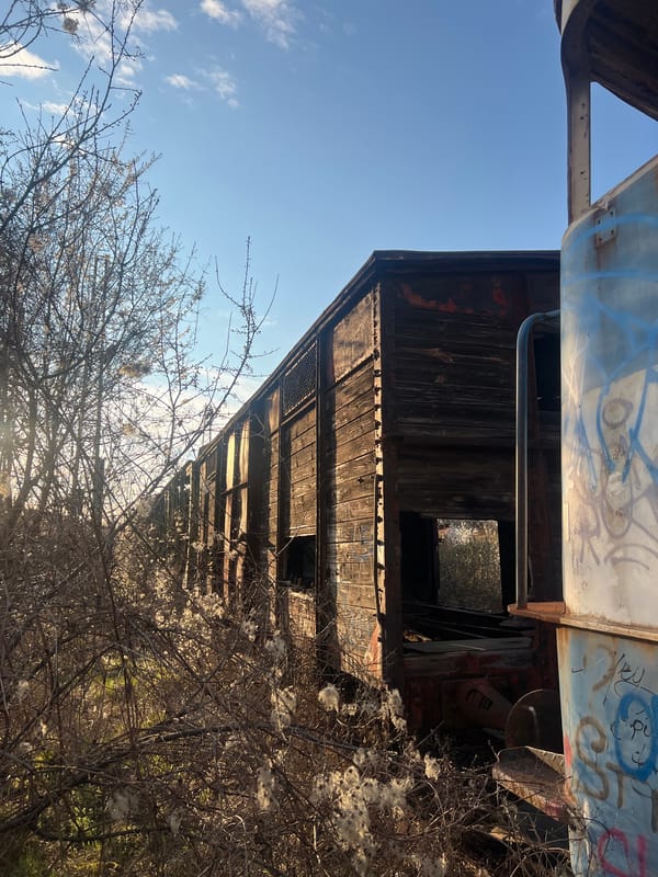 Abandoned graffiti-covered train yard documented in Sofia, Bulgaria