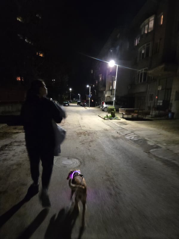 Evening street scenes captured in Pleven residential area