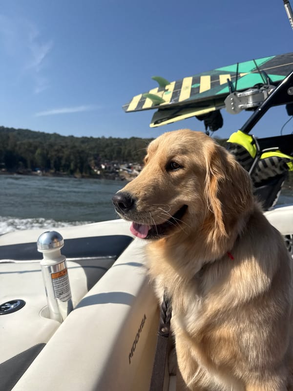 Golden retriever rests on boat in Valle de Bravo