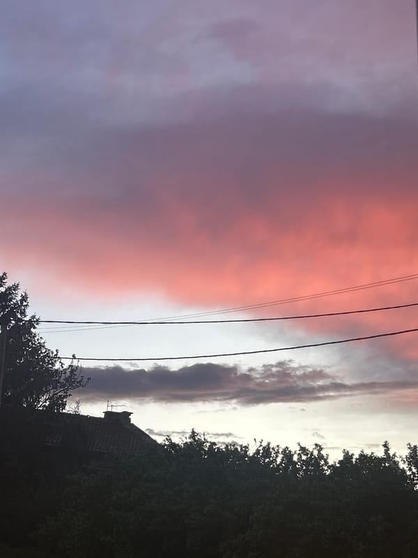 Sunset viewing and snack time captured in evening moments