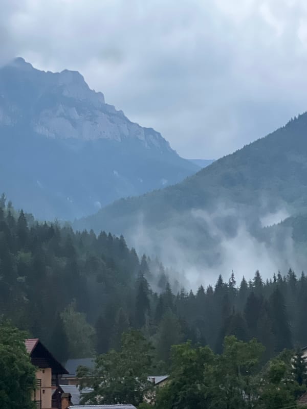 Foggy mountain village surrounded by dense forest on a cloudy day