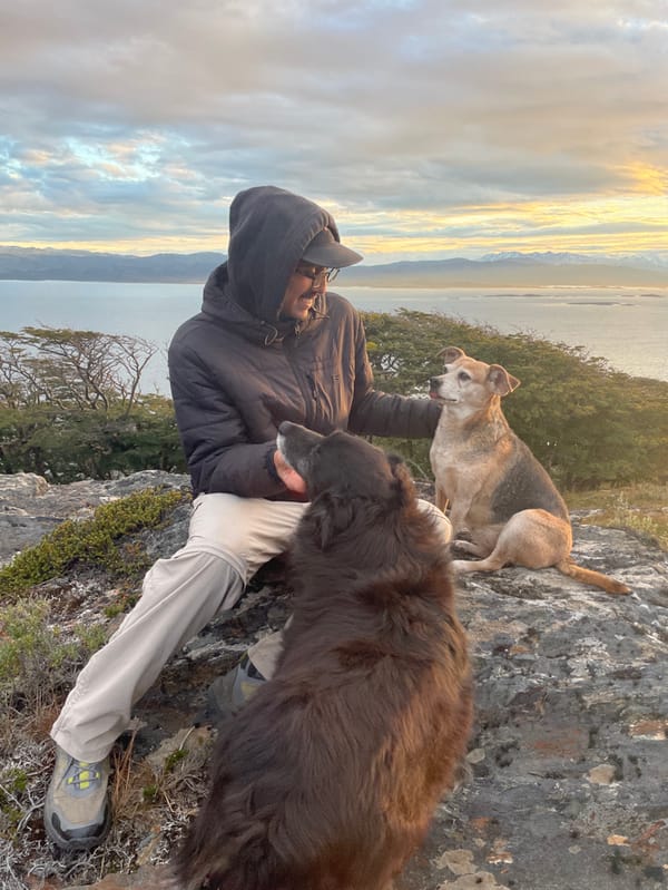 Person with two dogs spotted outdoors in Ushuaia