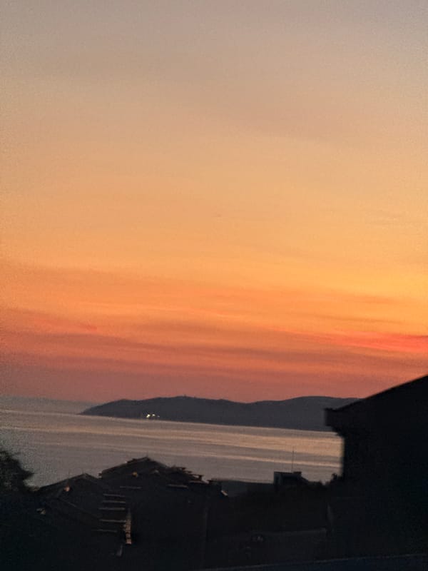 Coastal evening drive, street scenes, and a cat at home