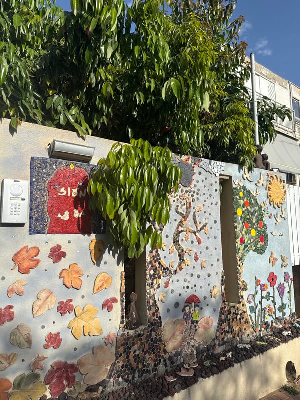 Decorative walls and palm trees documented in Raanana garden