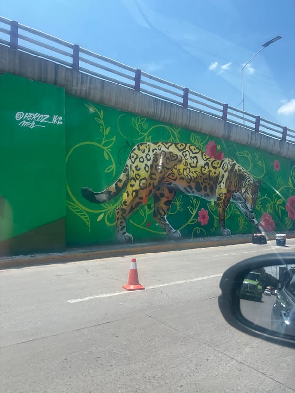 Floral leopard mural spotted on Buenavista bridge wall