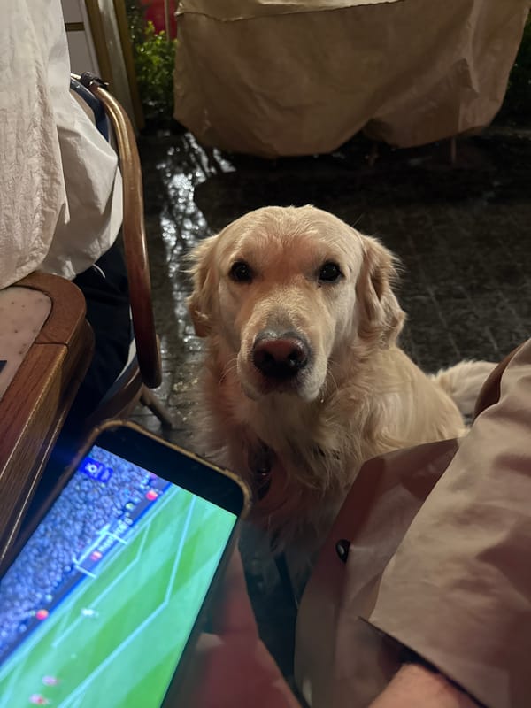 Woman enjoys afternoon cafe meal in Yerevan