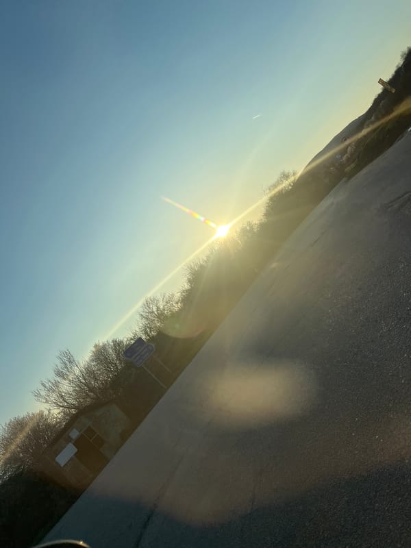 Spring afternoon scene documented in Rayuvtsi, Bulgaria