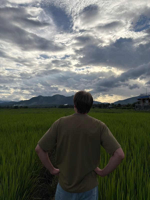 Lush rice paddies in Ban Pong with mountain backdrop