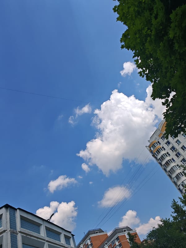 Morning urban nature walk captures everyday city life details