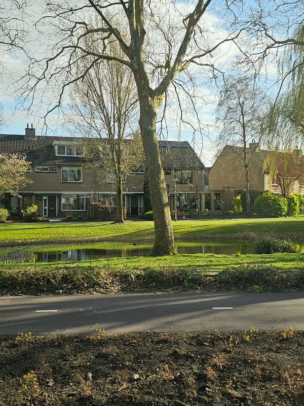 Residential canal scene observed in Barendrecht, Netherlands