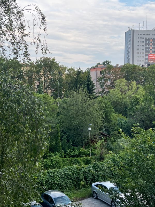Warsaw afternoon: park greenery and a wall full of eclectic posters