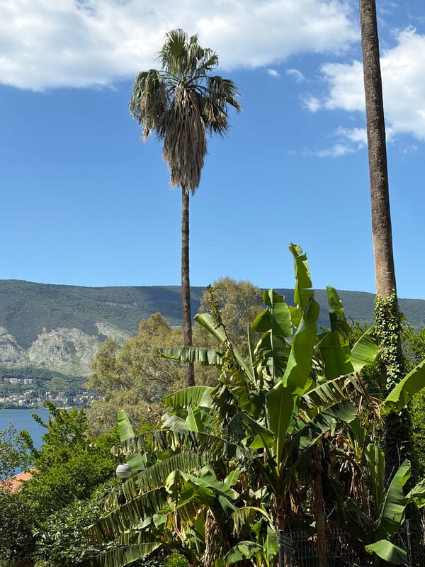 Morning life documented across historic Herceg Novi, Montenegro