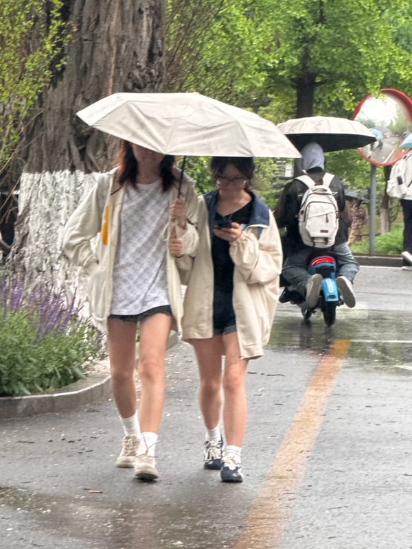 Two pedestrians share umbrella on rainy Zhongtun street