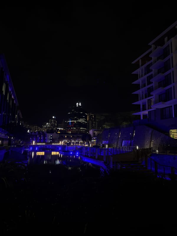 Cape Town nighttime scenes feature waterfront reflections, luxury car showrooms