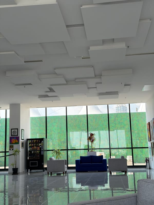 Art exhibition documented in San Bernardino Tlaxcalancingo, Mexico