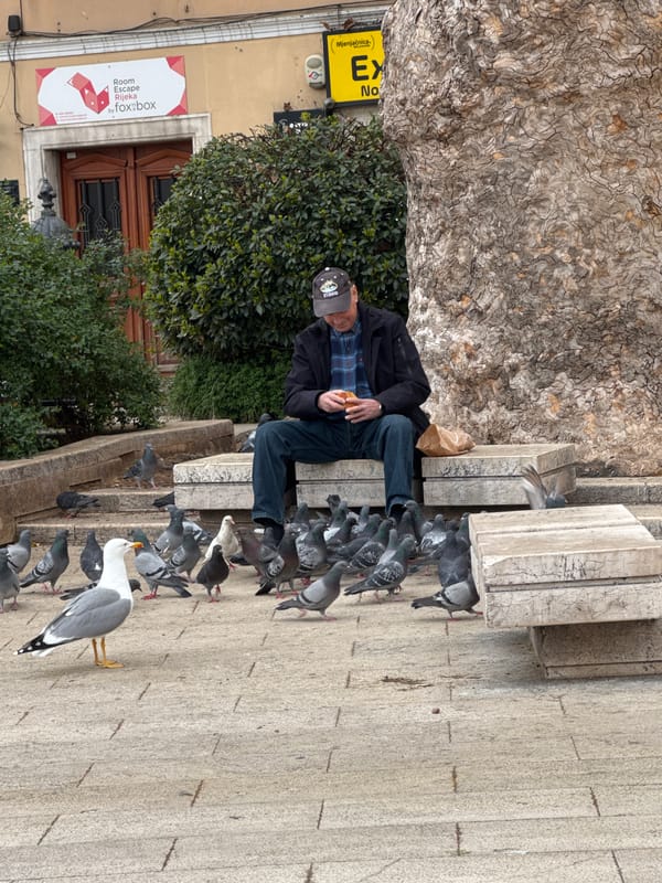 Everyday street life documented across Rijeka city center