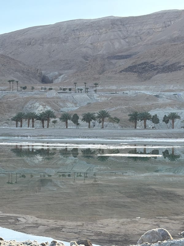 Dead Sea salt formations documented in Israeli desert region