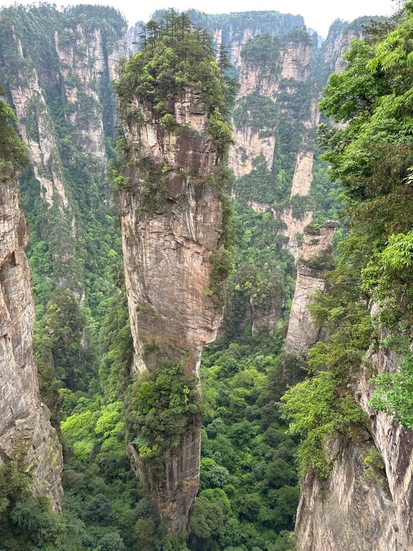 Tourist documents morning visit to Zhangjiajie National Forest Park