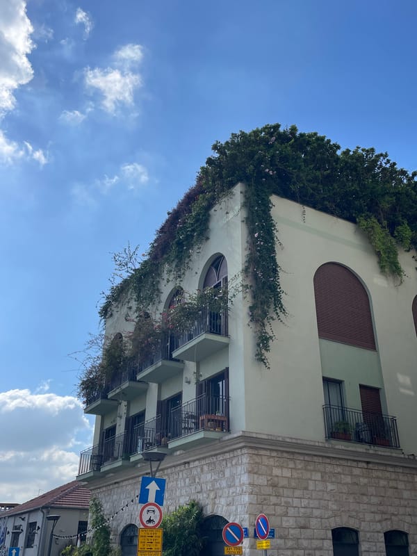 Green architecture and street-level plants in Tel Aviv