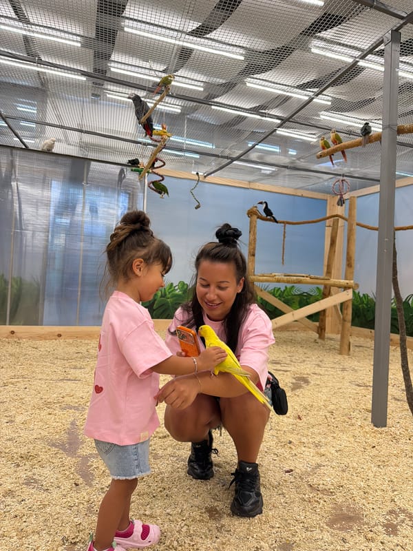 Up close with parrots and exotic birds at Burgas Aviary