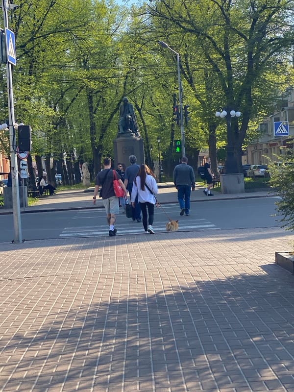 Everyday street life captured across Poltava, Ukraine in four minutes