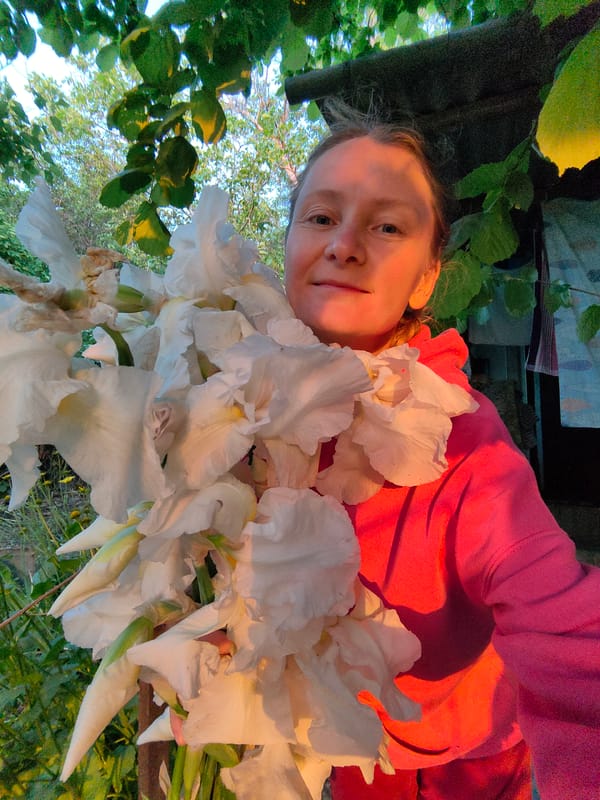 Woman gathers white irises in Ukrainian village afternoon