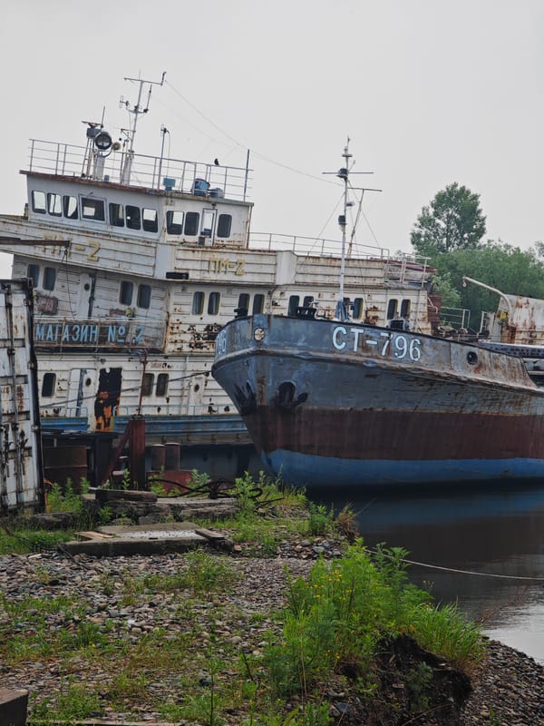 Abandoned vessels and a stray dog at a Krasnoyarsk shipyard