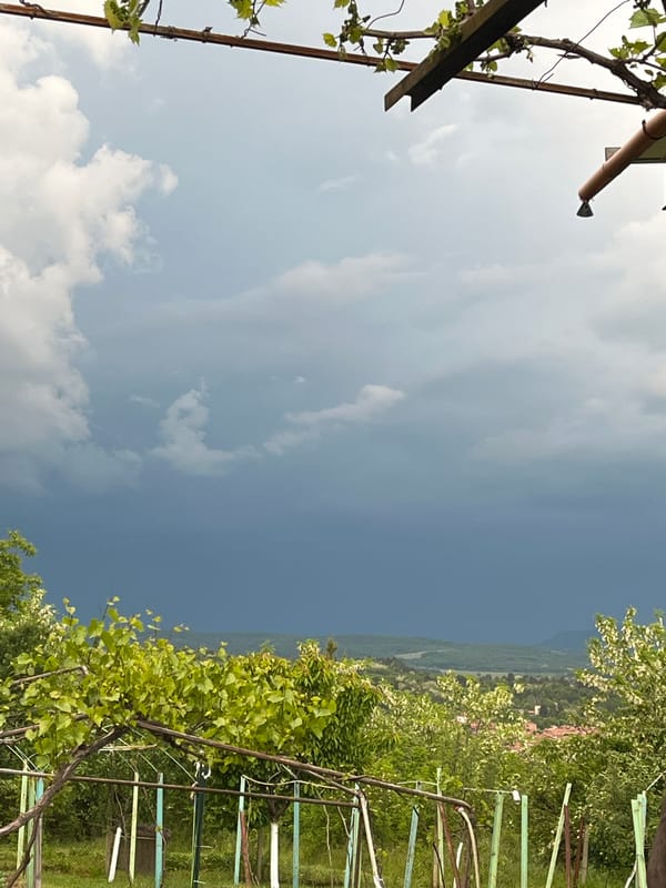 Garden view captured in Sevlievo countryside under cloudy skies
