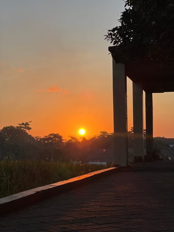 Sunset and dog captured in North Kuta rice fields