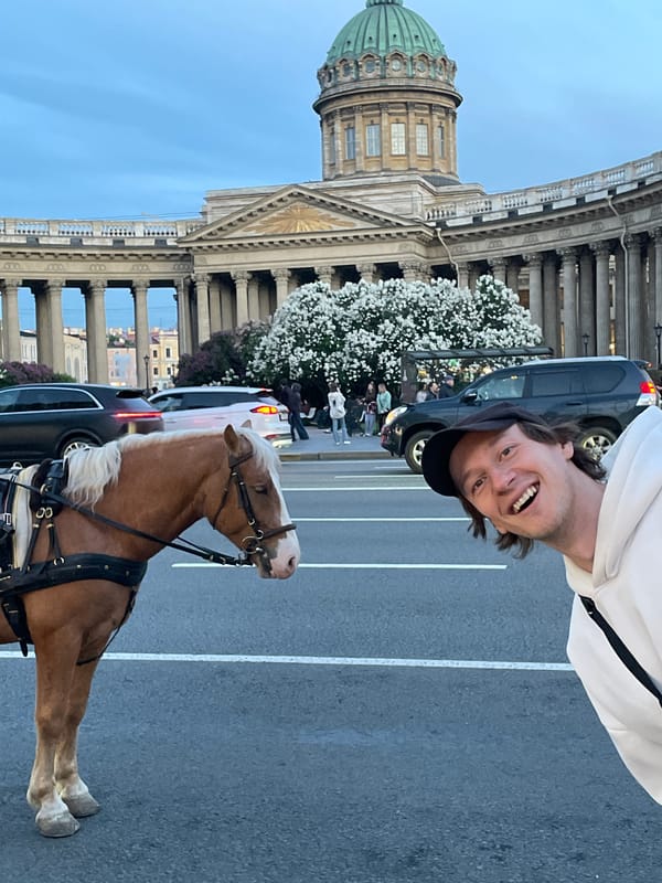 Horse-drawn carriage spotted in central Saint Petersburg evening hours