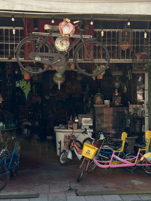 Street art and cultural scenes documented in George Town