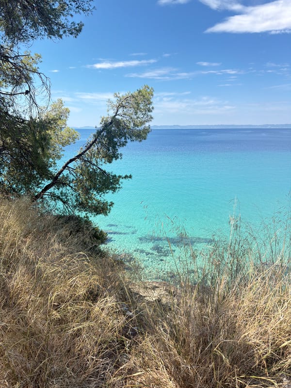 Pebble beach and pine coast, Sithonia, Greece