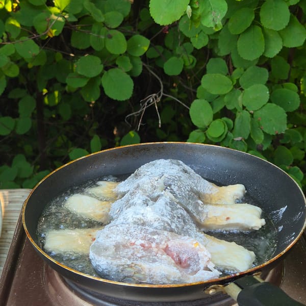 Fish preparation and domestic activities documented in Novostroyka, Russia