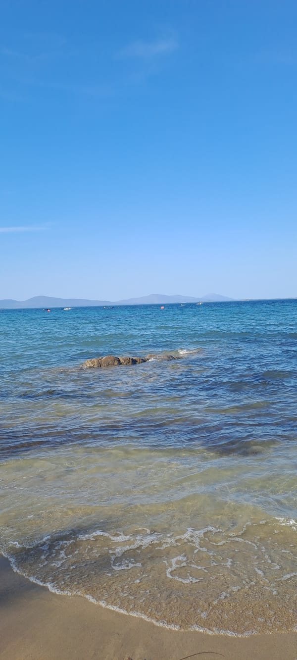 Sunny afternoon on a calm Irish beach with seaweed and stone walls