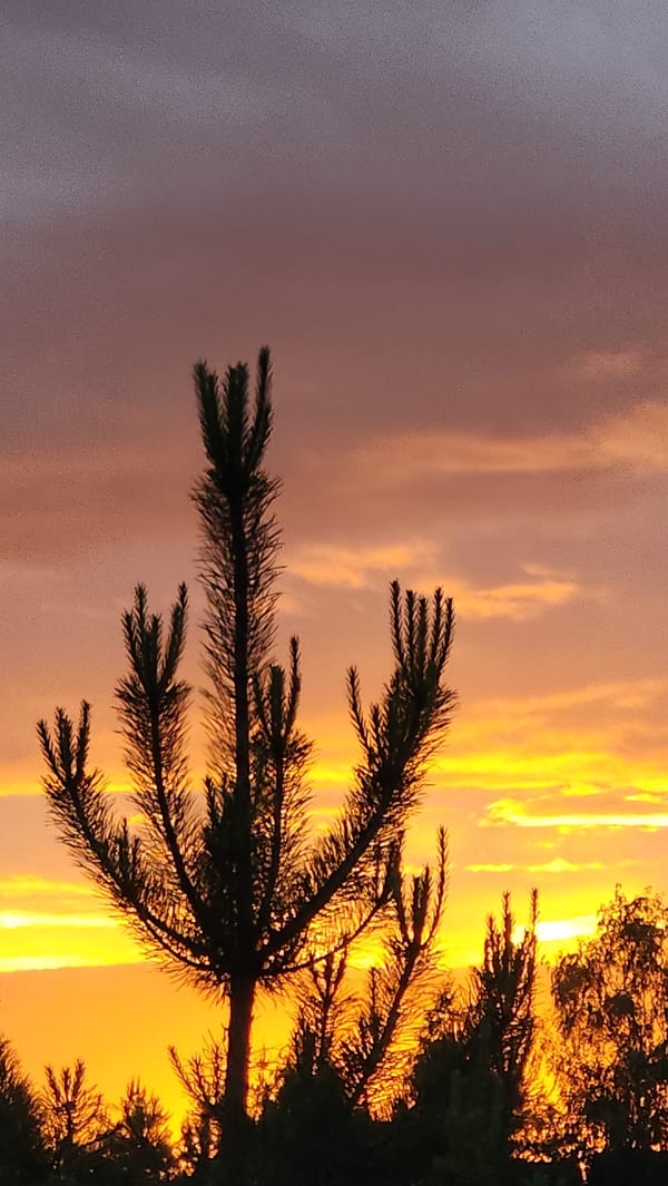 Vivid sunset observed across Belkovo, Russia countryside