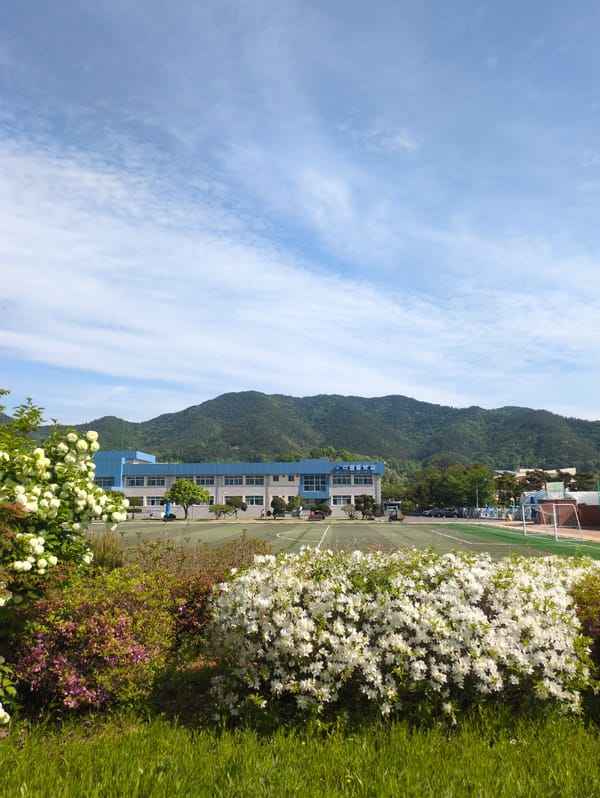 Rural Geonjin-ri landscape and church documented in early morning