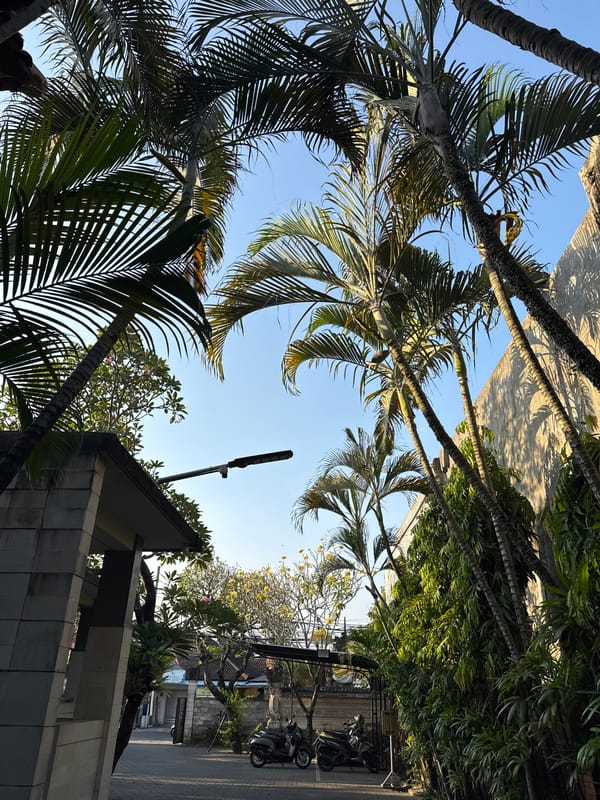 Street-level details of Balinese architecture and nature in Denpasar